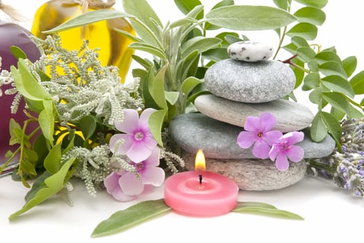 spa still life with perfumes and aromatic herbs
