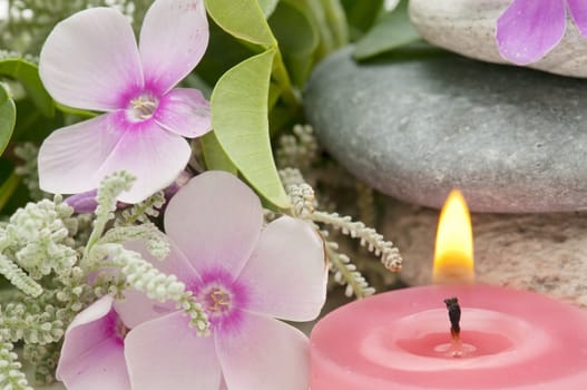 spa still life with perfumes and aromatic herbs
