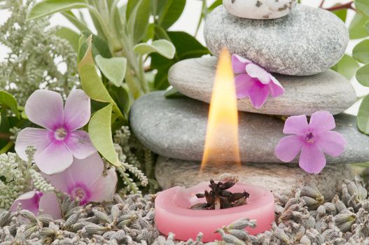 spa still life with perfumes and aromatic herbs
