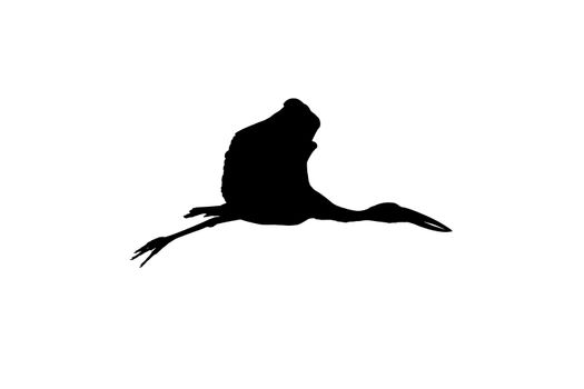 Asian open bill stork flying high silhouette image