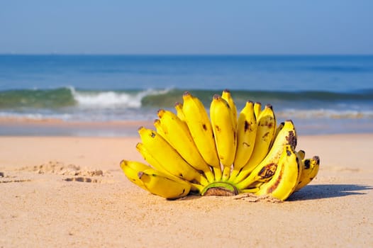 Bunch of bananas on the sand at the sea