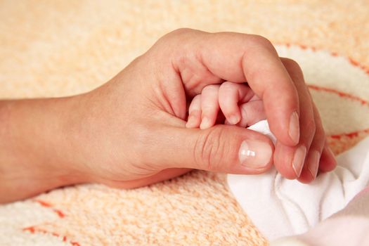 The image of hands of parent and the child