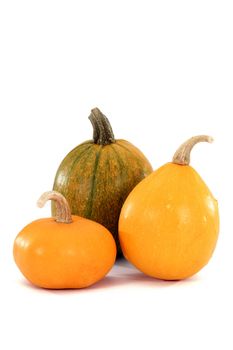 Images of fruits of the pumpkin, isolated, on a white background