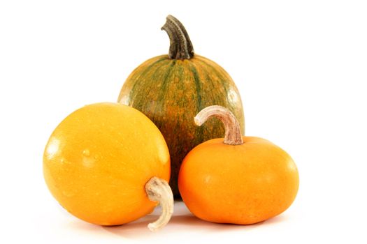 Images of fruits of the pumpkin, isolated, on a white background