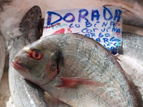 Image of a stand on a fishmarket