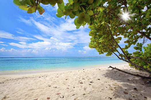 Turquoise water and white beach on Baby beach, Aruba