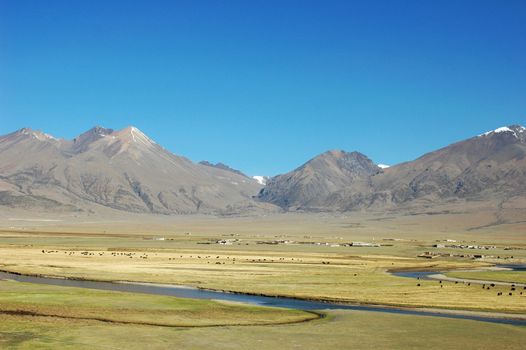 Landscape of mountains and pasture in Tibet