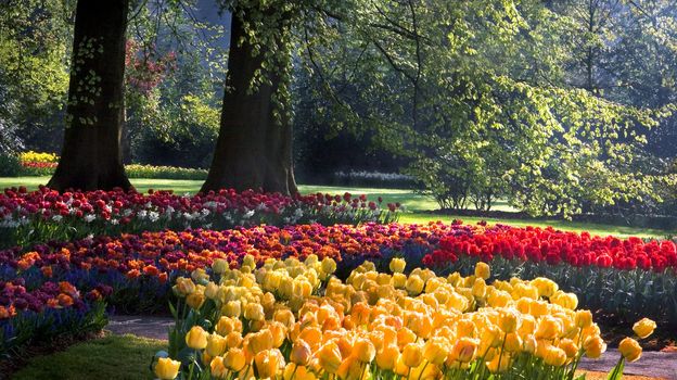 Spring in park with yellow, red and orange tulips