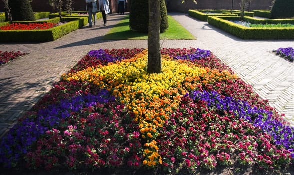 Formal garden with boxwood hedges and violets arrangement in spring - horizontal image