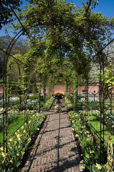 Springtime in formal garden with pergola and vase ornament