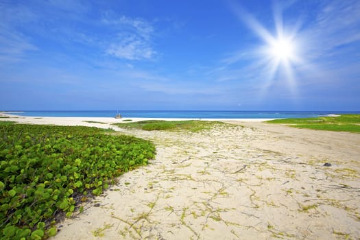 Turquoise water and white sand at Boca Grandi beach, Aruba