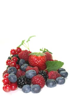 different berries on a white background