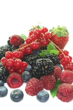 different berries on a white background