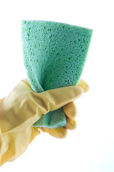 Hand in rubber glove holding green sponge on white