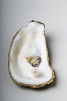 open oyster shell with one white pearl