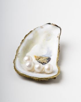 open oyster shell with four white pearl