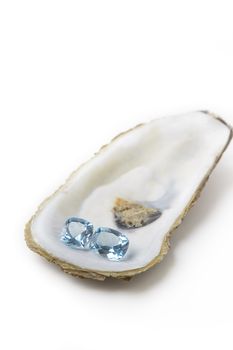 two blue topaz resting on a oyster shell