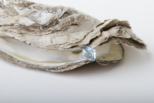 one blue topaz hold on by an oyster shell