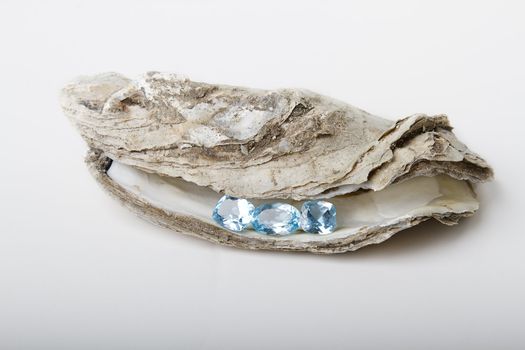 three blue topaz hold on by an oyster shell