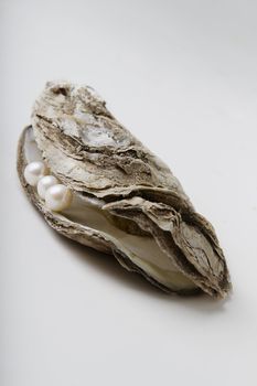 three pearl held on the rim of a malpeque oyster shell