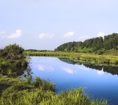 Kind on small lake in summer day