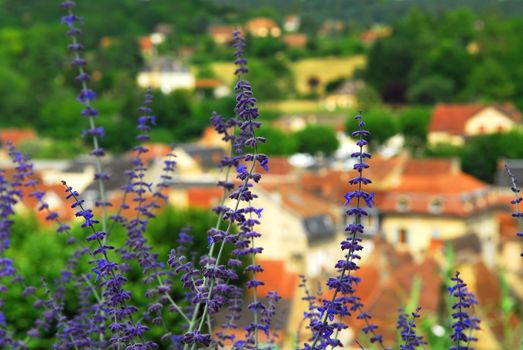 Red rooftops of medieval houses in Sarlat (Dordogne region, France) with blue flowers in foreground
