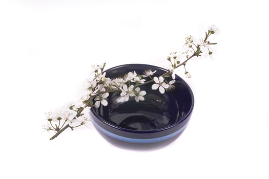 white apple flower on dark blue china bowl