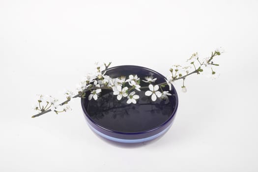 white apple flower on dark blue china bowl