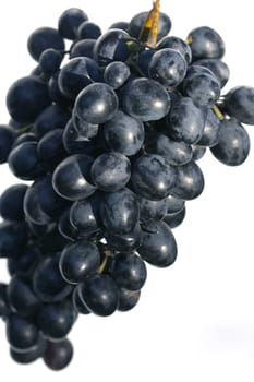 close up of bunch of ripe fresh grapes
