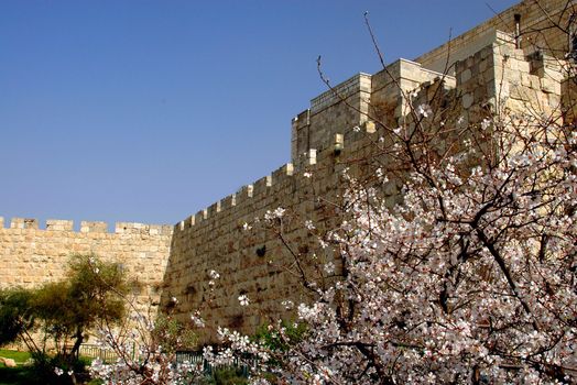 jerusalem old city exterior wall on spring