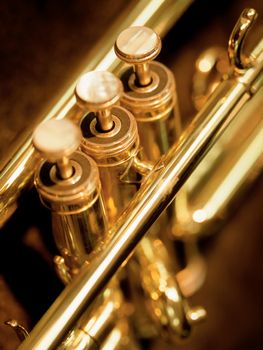 A shallow depth-of-field image of the valves of a trumpet.
