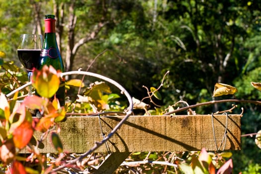 Bottle of Red Wine in Nature