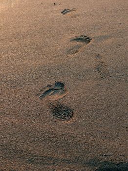 Fresh footprint in the surf line