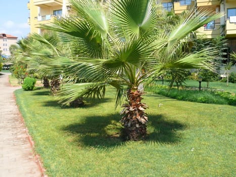 Path in hotel park - Turkey