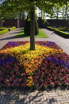 Formal garden with boxwood hedges and violets arrangement in spring - vertical image