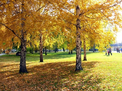 Autumn in Chelyabinsk park