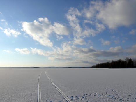 Winter landscape