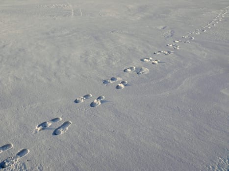 footprint in the snow
