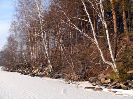 Winter landscape