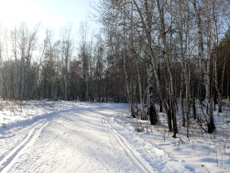 Winter landscape