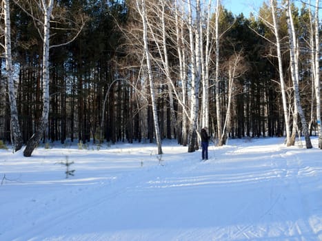 Winter landscape