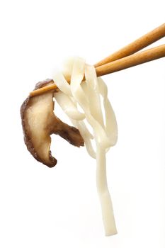 Shitake mushroom and flat asian noodles held by chop sticks and isolated on white background.