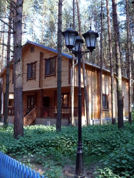 wooden cottages in pine forest