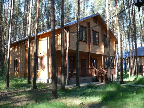 wooden cottages in pine forest