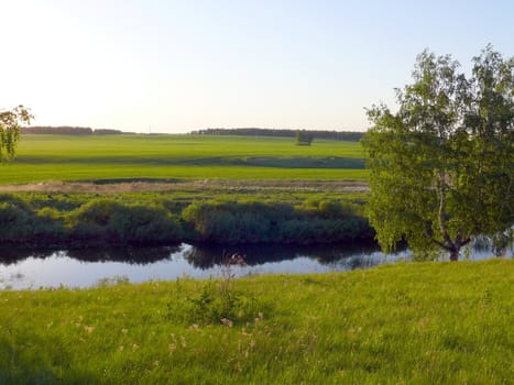 Evening in the river