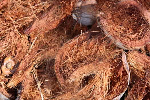 A background of dry coconut shells.