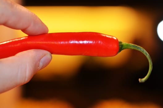 A hand holding a red chili pepper.