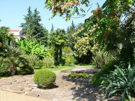 Park in the center of Sochi