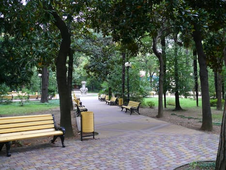 Park in the center of Sochi