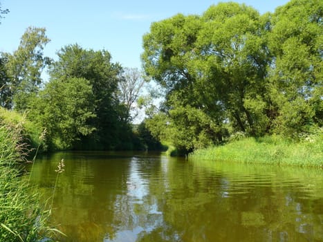 summer landscape with river